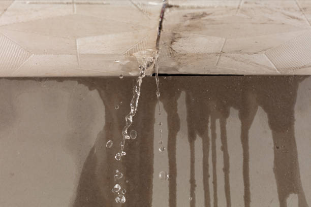 Professional Sewage Cleanup technician working in Maplewood, MO